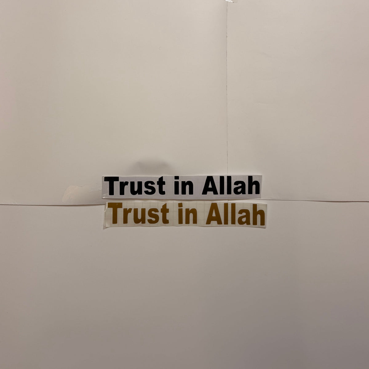 (TRUST IN ALLAH)