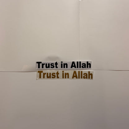 (TRUST IN ALLAH)